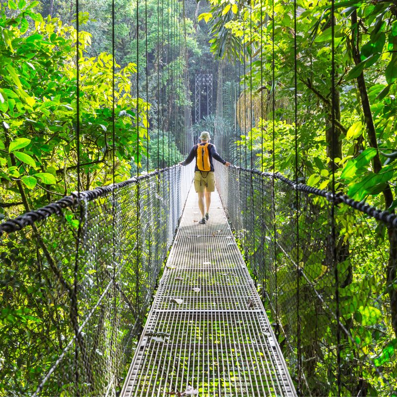 Hanging bridges
