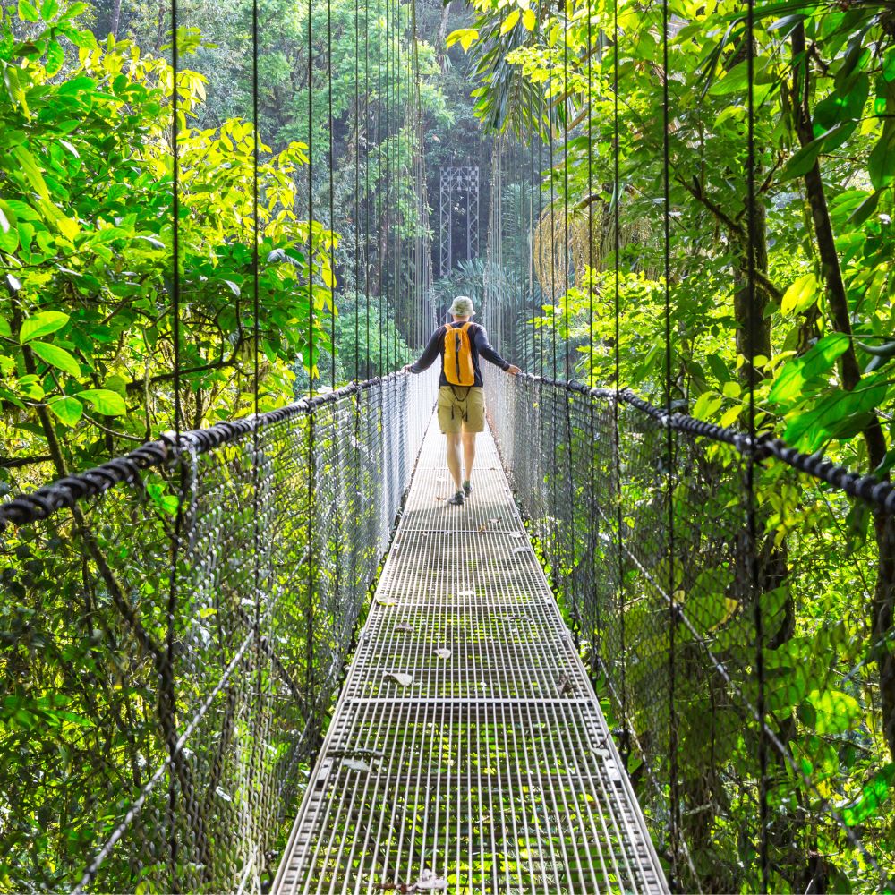 Hanging Bridges