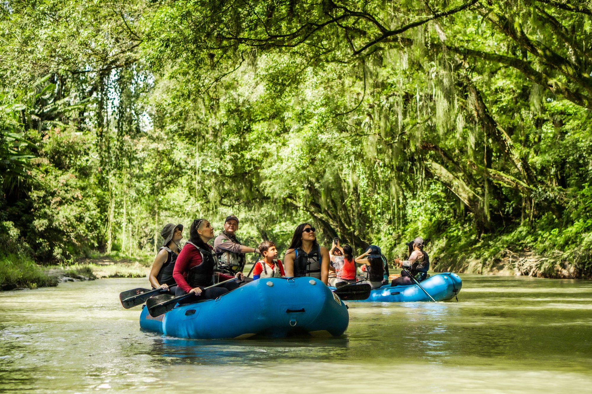 Safari Float