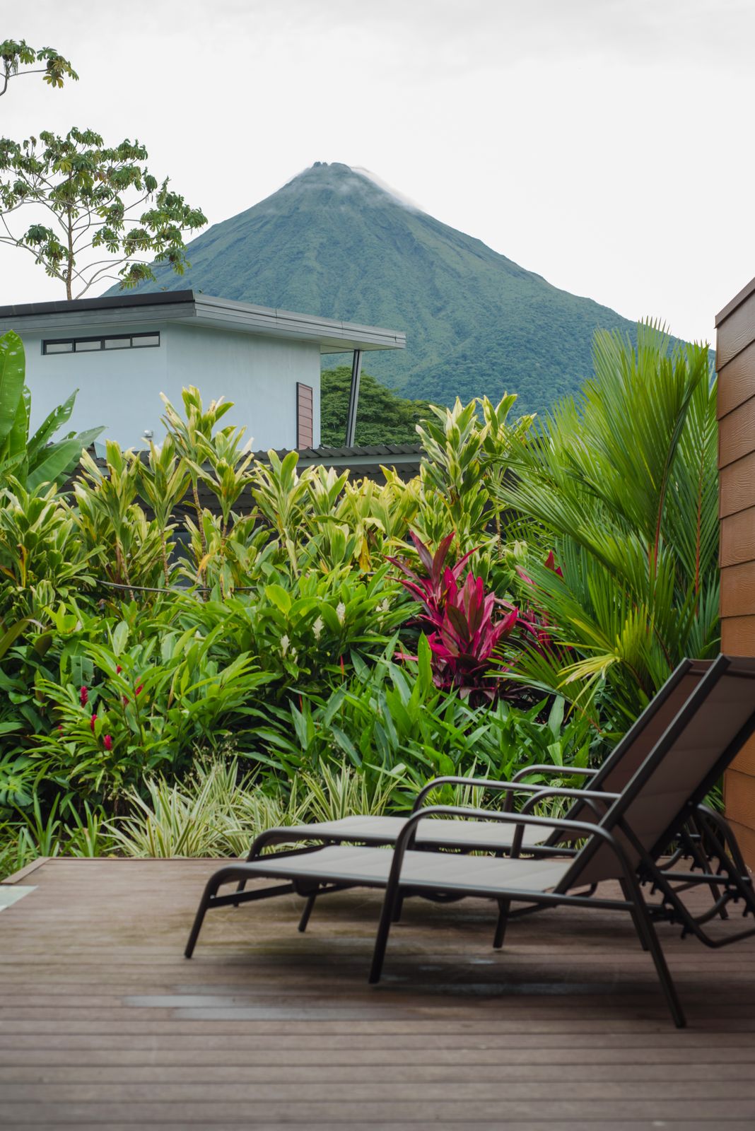 Premium Villa, photo 13 of 15